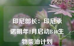 印尼部长：印尼承诺明年1月启动B40生物柴油计划