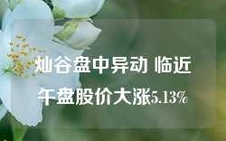 灿谷盘中异动 临近午盘股价大涨5.13%