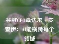 谷歌CEO桑达尔·皮查伊：AI能横跨每个领域