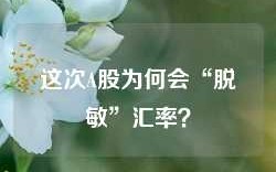 这次A股为何会“脱敏”汇率？