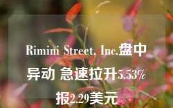 Rimini Street, Inc.盘中异动 急速拉升5.53%报2.29美元