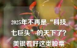 2025年不再是“科技七巨头”的天下了？美银看好这类股票……