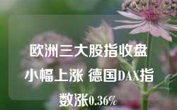 欧洲三大股指收盘小幅上涨 德国DAX指数涨0.36%