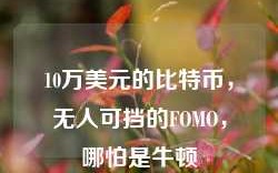 10万美元的比特币，无人可挡的FOMO，哪怕是牛顿