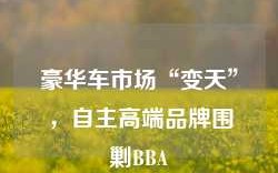 豪华车市场“变天”，自主高端品牌围剿BBA