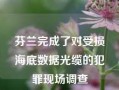 芬兰完成了对受损海底数据光缆的犯罪现场调查