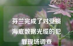 芬兰完成了对受损海底数据光缆的犯罪现场调查