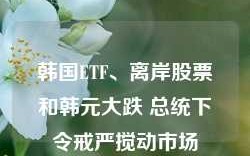 韩国ETF、离岸股票和韩元大跌 总统下令戒严搅动市场