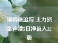 强势股追踪 主力资金连续5日净流入32股