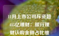 11月上市公司斥资超415亿理财：银行理财认购金额占比维持稳定 券商理财“受宠”