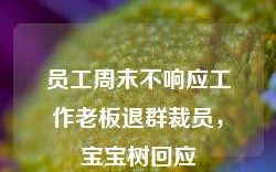 员工周末不响应工作老板退群裁员，宝宝树回应