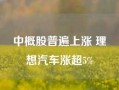 中概股普遍上涨 理想汽车涨超5%