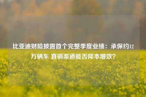 比亚迪财险披露首个完整季度业绩：承保约12万辆车 直销渠道能否降本增效？  第1张