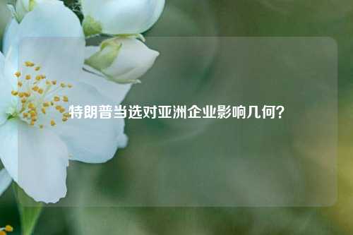 特朗普当选对亚洲企业影响几何？  第1张