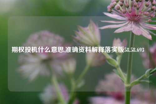 期权投机什么意思,准确资料解释落实版58.58.693