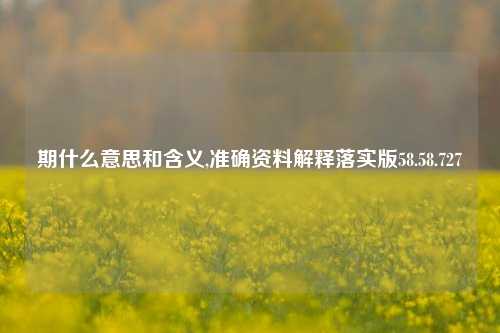 期什么意思和含义,准确资料解释落实版58.58.727