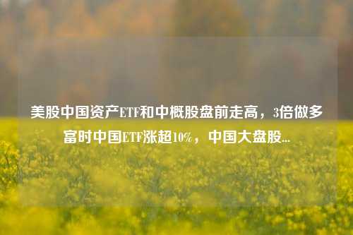 美股中国资产ETF和中概股盘前走高，3倍做多富时中国ETF涨超10%，中国大盘股...