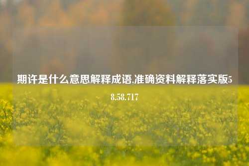 期许是什么意思解释成语,准确资料解释落实版58.58.717