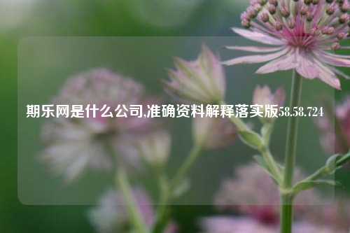 期乐网是什么公司,准确资料解释落实版58.58.724