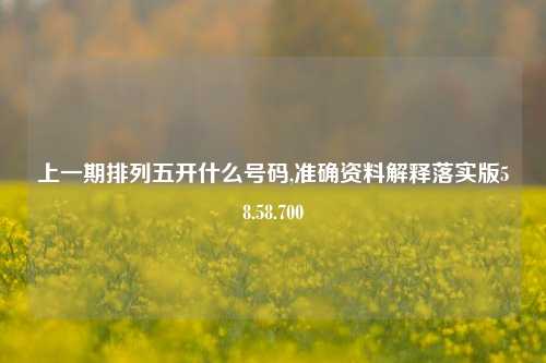 上一期排列五开什么号码,准确资料解释落实版58.58.700