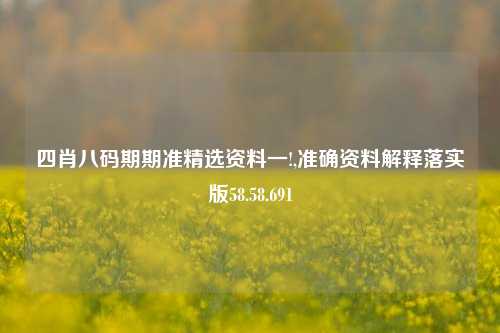 四肖八码期期准精选资料一!,准确资料解释落实版58.58.691