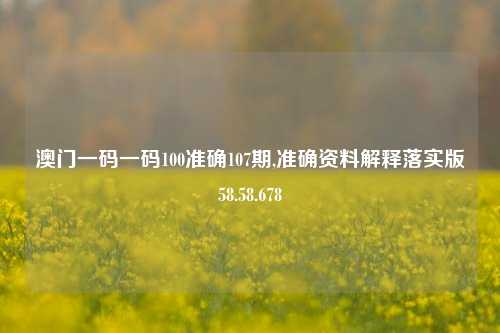 澳门一码一码100准确107期,准确资料解释落实版58.58.678