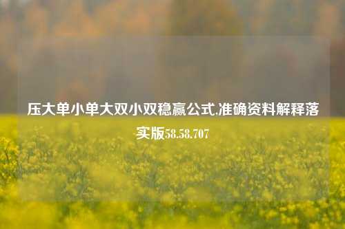 压大单小单大双小双稳赢公式,准确资料解释落实版58.58.707  第1张