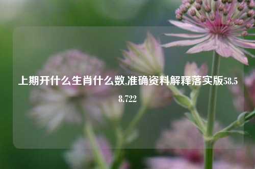 上期开什么生肖什么数,准确资料解释落实版58.58.722