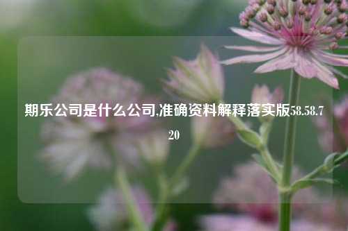 期乐公司是什么公司,准确资料解释落实版58.58.720