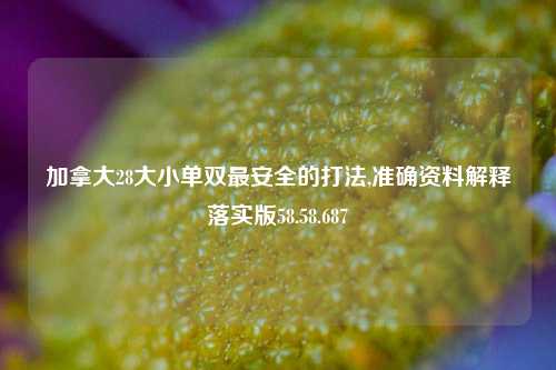 加拿大28大小单双最安全的打法,准确资料解释落实版58.58.687