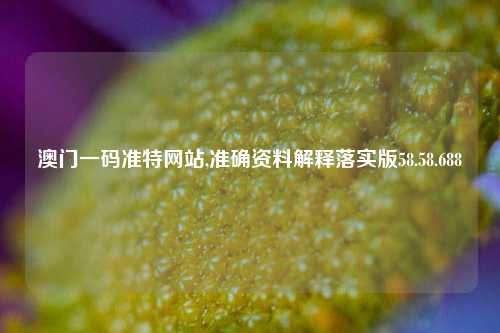 澳门一码准特网站,准确资料解释落实版58.58.688