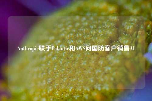 Anthropic联手Palantir和AWS向国防客户销售AI