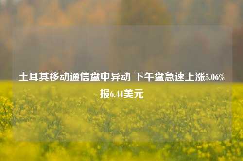 土耳其移动通信盘中异动 下午盘急速上涨5.06%报6.44美元  第1张