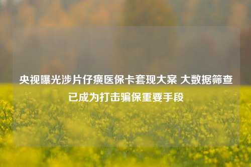 央视曝光涉片仔癀医保卡套现大案 大数据筛查已成为打击骗保重要手段