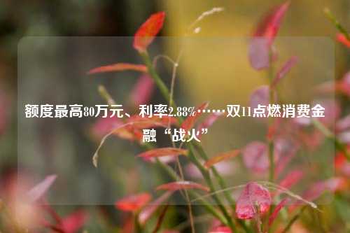 额度最高80万元、利率2.88%……双11点燃消费金融“战火”