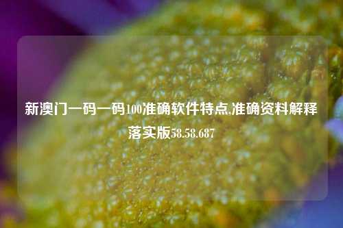 新澳门一码一码100准确软件特点,准确资料解释落实版58.58.687