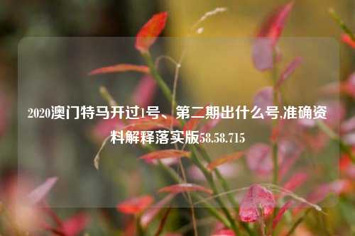 2020澳门特马开过1号、第二期出什么号,准确资料解释落实版58.58.715