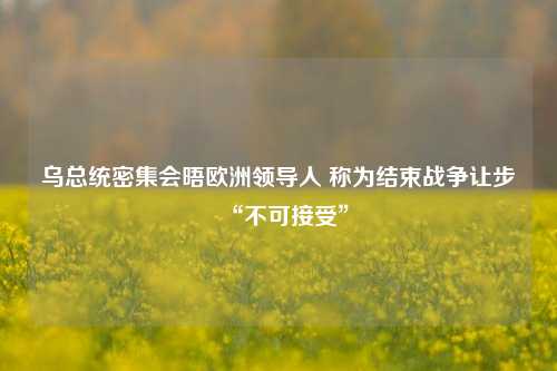 乌总统密集会晤欧洲领导人 称为结束战争让步“不可接受”