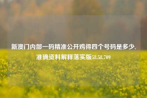 新澳门内部一码精准公开鸡得四个号码是多少,准确资料解释落实版58.58.709