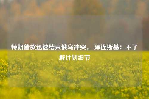 特朗普欲迅速结束俄乌冲突， 泽连斯基：不了解计划细节