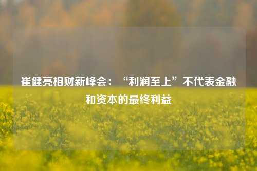 崔健亮相财新峰会：“利润至上”不代表金融和资本的最终利益