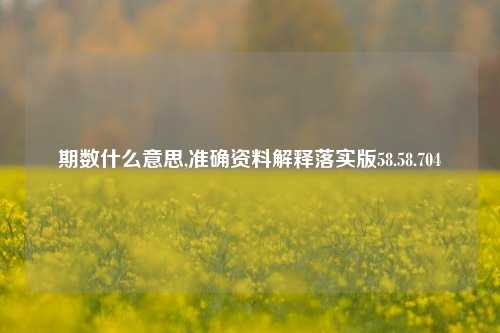 期数什么意思,准确资料解释落实版58.58.704