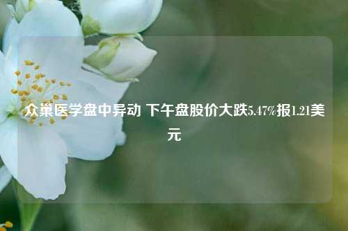 众巢医学盘中异动 下午盘股价大跌5.47%报1.21美元