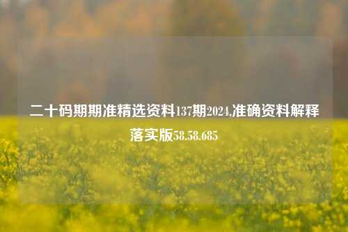 二十码期期准精选资料137期2024,准确资料解释落实版58.58.685