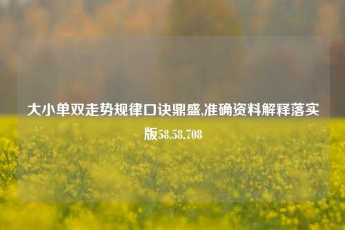 大小单双走势规律口诀鼎盛,准确资料解释落实版58.58.708