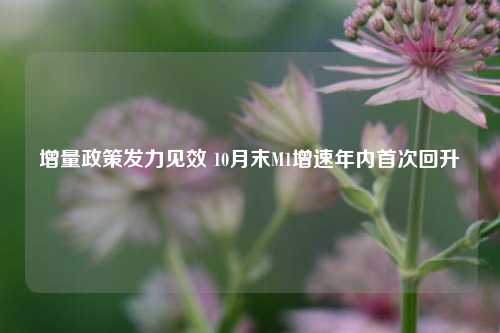 增量政策发力见效 10月末M1增速年内首次回升  第1张