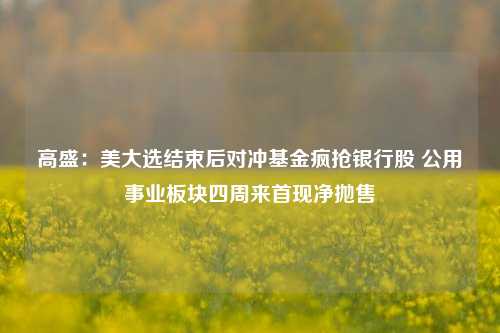 高盛：美大选结束后对冲基金疯抢银行股 公用事业板块四周来首现净抛售