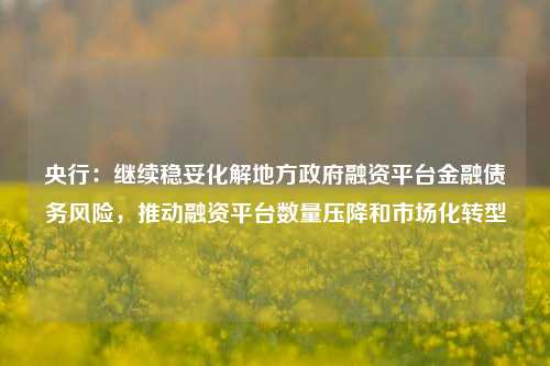 央行：继续稳妥化解地方政府融资平台金融债务风险，推动融资平台数量压降和市场化转型  第1张