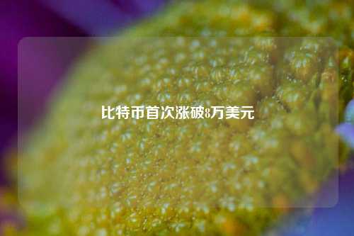 比特币首次涨破8万美元  第1张