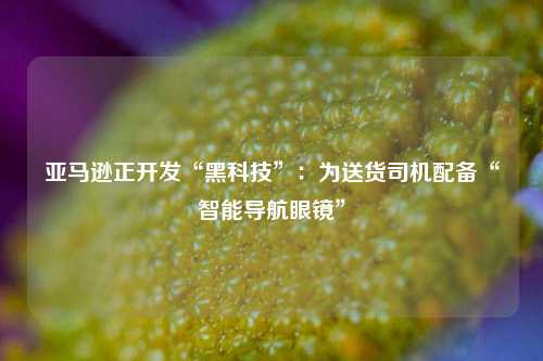 亚马逊正开发“黑科技”：为送货司机配备“智能导航眼镜”  第1张